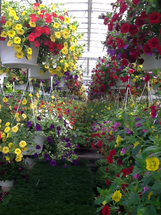 Baker's Home & Garden Center Somerset, PA