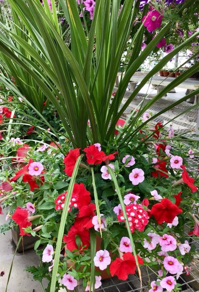 Baker's Home & Garden Center Somerset, PA