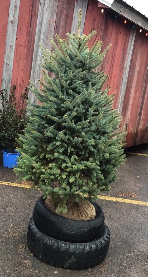 Baker's Home & Garden Center Somerset, PA