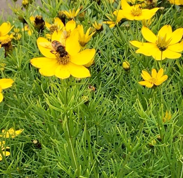 Baker's Home & Garden Center Somerset, PA