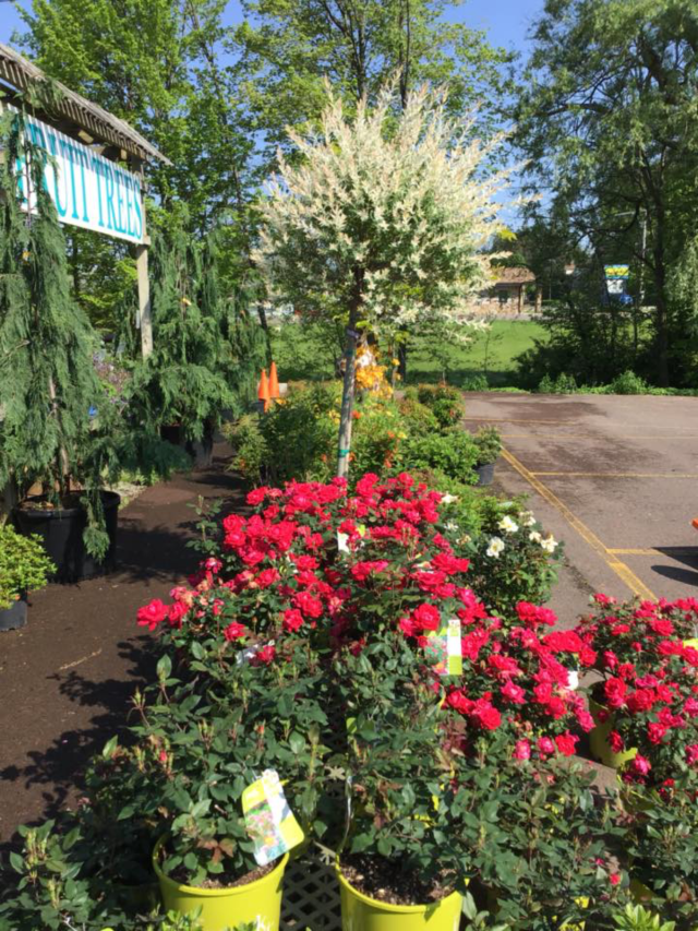 Baker's Home & Garden Center Somerset, PA